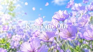 A Season Melting into Purple ๐ธ Gentle Piano Playlist to Start Your Day | BGM๏ฝWork & Relaxation