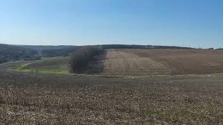 Моринці 12 Квітня 2026 Р.