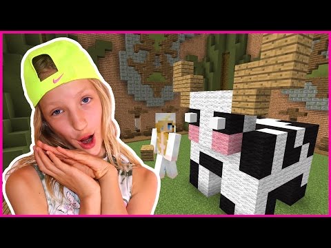 Not So Scary Stories Funnycattv -