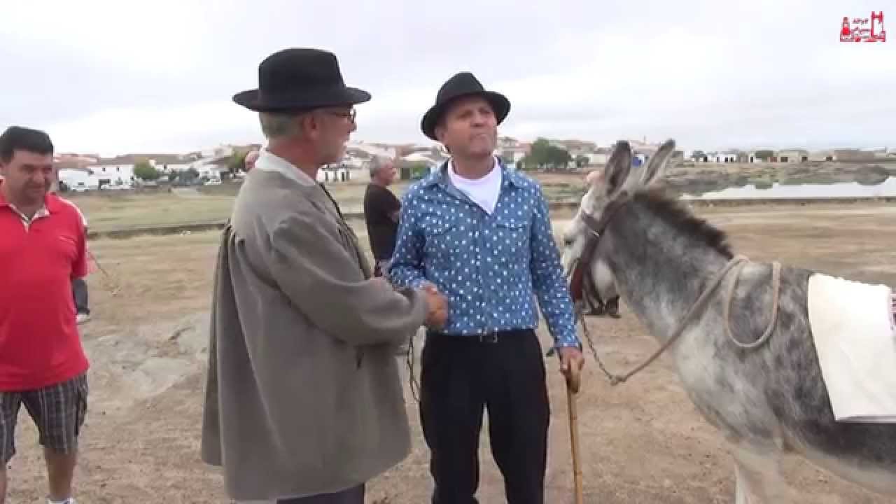 FERIA DE GANAO 2014 (Arroyo de la Luz, 12/09/14)