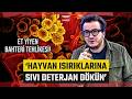 Oytun Erbaş'tan Dikkat Çeken Et Yiyen Bakteri Yorumu! 'Hayvan Isırıklarına Sıvı Deterjan Dökün'