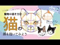 上 猫 正面 イラスト 332060-��� 正面 イラスト