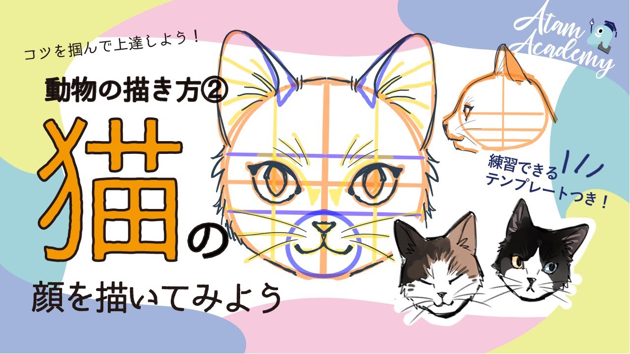 初心者向け イラスト上達基礎講座 動物の描き方 猫の顔編 Youtube