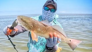 Redfish Everywhere! Topwater Bite on Fire! Wade Fishing Port Mansfield!