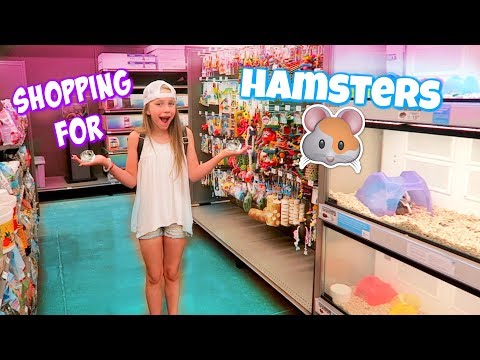 Video: Vitamine E-tekort Bij Hamsters