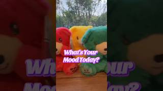 Say hello to our gorgeous new Mood Bears! #emotionalsupport #SensoryToys #MoodBears