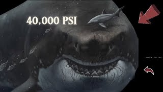 Megalodon-the whale Slayer ☠️