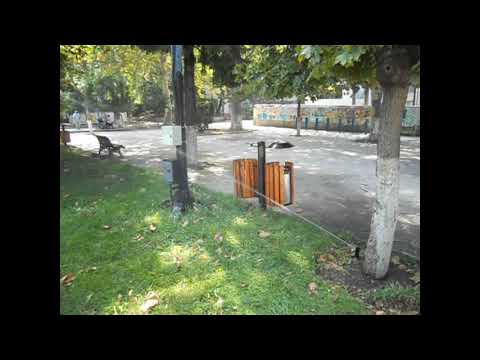 ელექტრო და ნაგვის ყუთების მორწყვა ვერის ბაღში