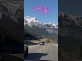 Nature with my lofi! #beatstostudy #chillbeats #focusmusic #sunset #chillmusic #lofimix #lofibeats