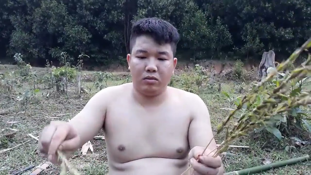 Solo Survival Challenge: 48 Hours in the Rocky Mountains