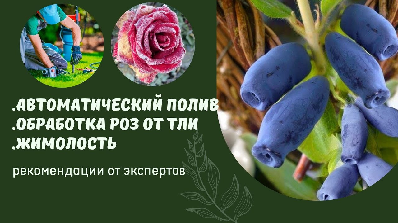 Автоматический полив /ландшафт уз / 20-05-2023 - YouTube