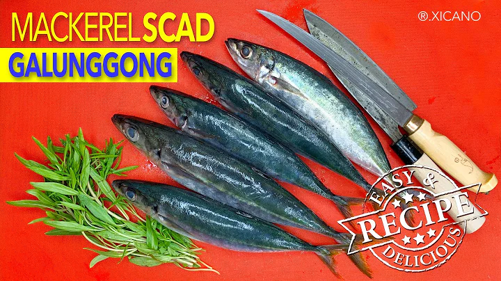 CLEAN, FILLET, & COOK || Mackerel Scad || Galunggong