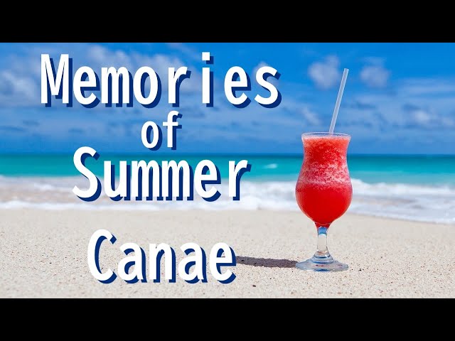 作詞 / 作曲 / 編曲