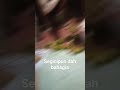 ganjel perut##sabsrib lpan syautra