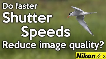 Does Increasing Shutter Speed Affect Image Quality?  Nikon Z8 Experiment