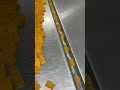Gummy Counting Conveyor #supplementwholesaler #candy #Gummymanufacturing #gummysupplement