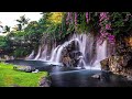 Beautiful Relaxing Music - Soothing Music for Stress Relief, Inner Peace, and Deep Sleep, Calm Music