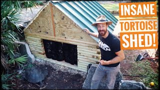 Building a Giant Tortoise House for less than $500!