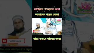 আল্লামা হুসাম উদ্দিন চৌধুরী ফুলতলী fultoli_kafela ফুলতলী_কাফেলা fultoli anjumane_al_islah new