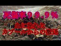 ［ゆっくり解説］第一次アフガン戦争での英軍の全滅