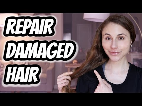 How to REPAIR DAMAGED HAIR Dr Dray