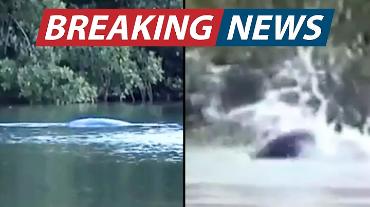 A tudósok CSAK megdöbbentő bizonyítékokkal erősítették meg, hogy a Loch Ness-i szörny valódi