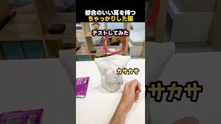 都合のいい耳を持つちゃっかりした猫