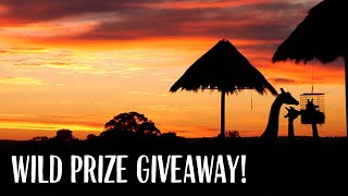📣WILD PRIZE GIVEAWAY! 📣