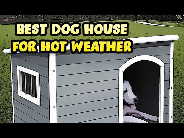Best Dog House for Hot Weather - YouTube