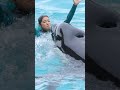 シャチとトレーナーさん超ラブラブ♥ #Shorts #鴨川シーワールド #シャチ #kamogawaseaworld #orca #killerwhale