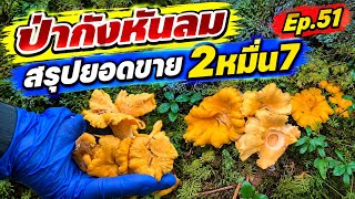 Ep.51 เดินป่ากังหันกับเพื่อนฝรั่ง‼️เก็บเห็ดหลายอย่าง สรุปยอดขายช่วงพักร้อน 1 อาทิตย์