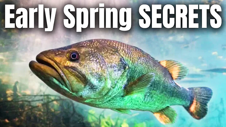 EARLY Spring Bass SECRETS The PROS Don't Want You To Know