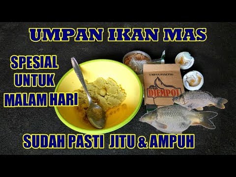Umpan IKAN MAS MALAM HARI Paling Jitu Djempol Pandan Wangi-Umpan