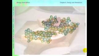 AP Biology Podcast Ch 6 Energy and Metabolism