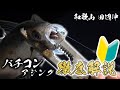徹底解説!バチコン大会前に改めて1からバチコンアジング!