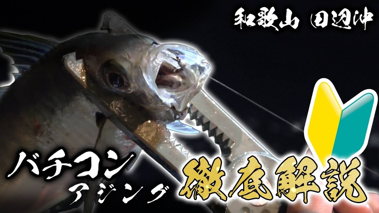 徹底解説！バチコン大会前に改めて1からバチコンアジング！