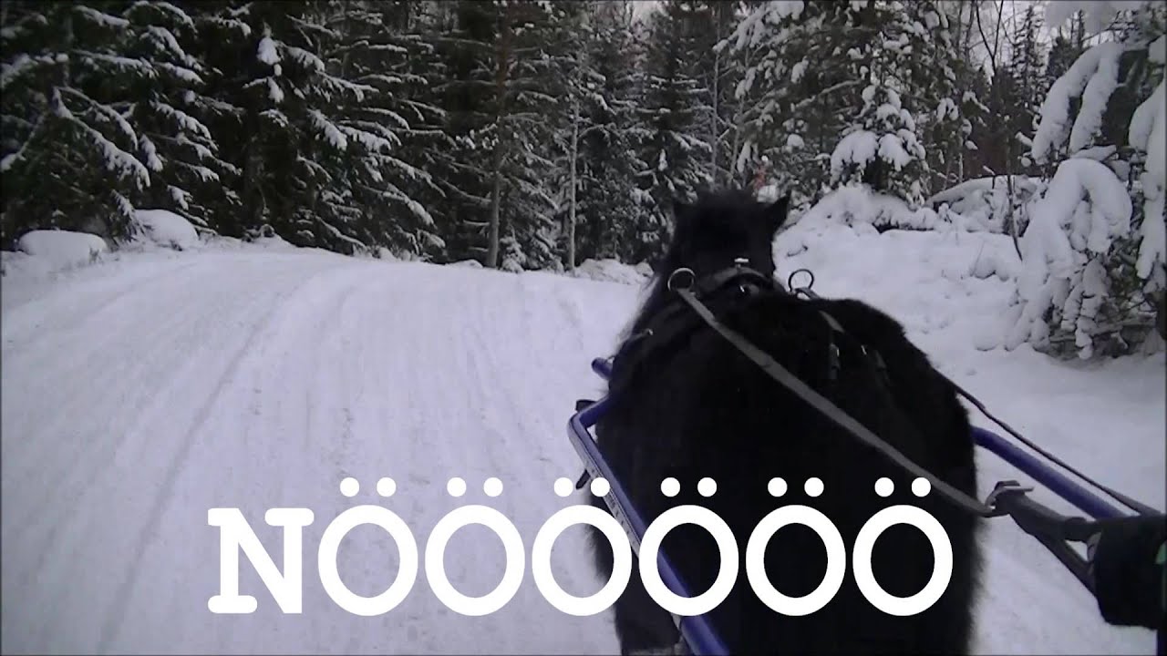 Äänitehosteita tallilta 8)