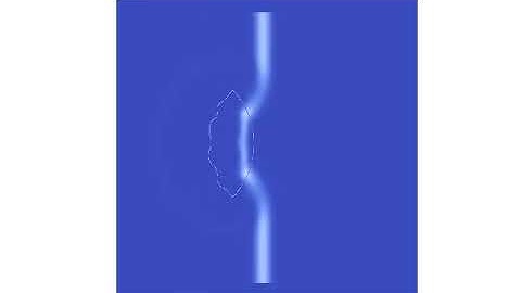 FDTD simulation of Distorted Lens