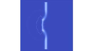 FDTD simulation of Distorted Lens