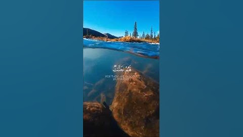 القرآن الكريم ، القارئ: ياسر الدوسري ، سورة : المائدة#القرآن_الكريم #quran #ياسر_الدوسري
