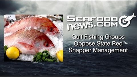 Gulf Fishing Groups Oppose State Red Snapper Management