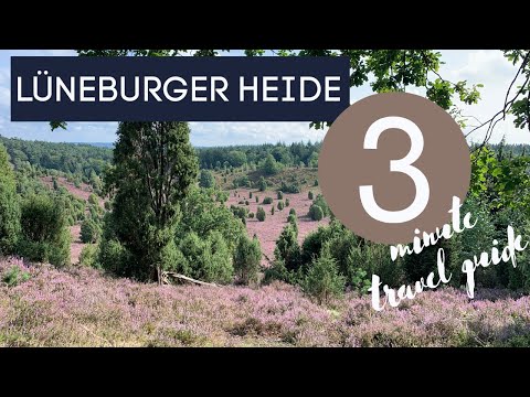 Lüneburger Heide | Luneburg Heather | 3 Minute Travel Guide