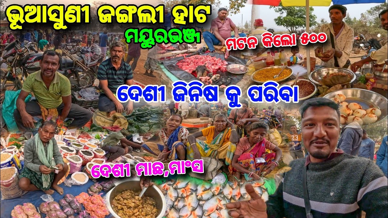 ଶିମିଳିପାଳ ଭିତରେ ଦେଶୀ😱 Bhuasuni Hata 🔥 ବାଡ଼ି ପାରିବ କୁ ଶସ୍ତା ମାଛ🐟 Mutton 500/- କୁ ହାଣ୍ଡିଆ😋 Mayurbhanj 