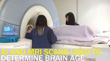 Researchers use AI and MRI scans to determine brain age | Taiwan News | RTI