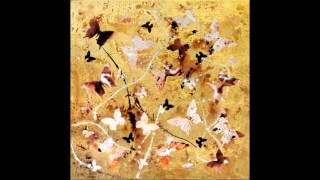Butterfly Collection By Paresh Nrshinga 2013