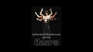 The Doors - Riders On The Storm (Fredwreck Ft.  Snoop Dogg Remix) Resimi