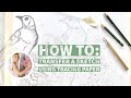 HOW TO: transfer a sketch using tracing paper