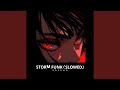 STORM FUNK Slowed