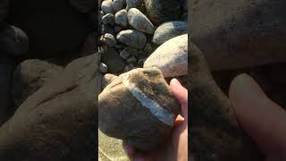 This geode discovery is insane #RareMinerals #BeachTreasure #Gemstones