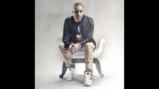 Wildstylez - Soundstorm [FLAC] HQ   HD